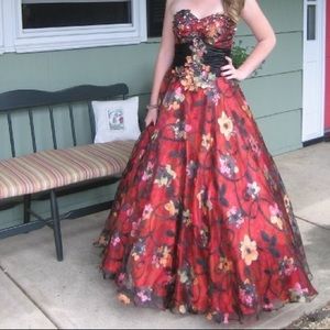 Blush Prom (Prom/Quinceañera) ball gown